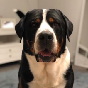 Meet your Posher, Mike